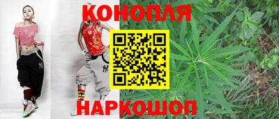 сатива Лесосибирск