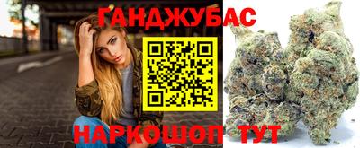 сатива Лесосибирск